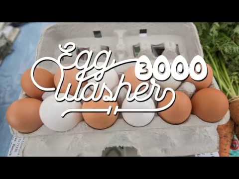 Egg washer 3000 for the family run farm